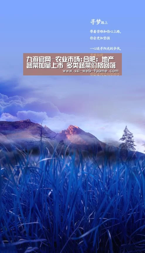 九游官网