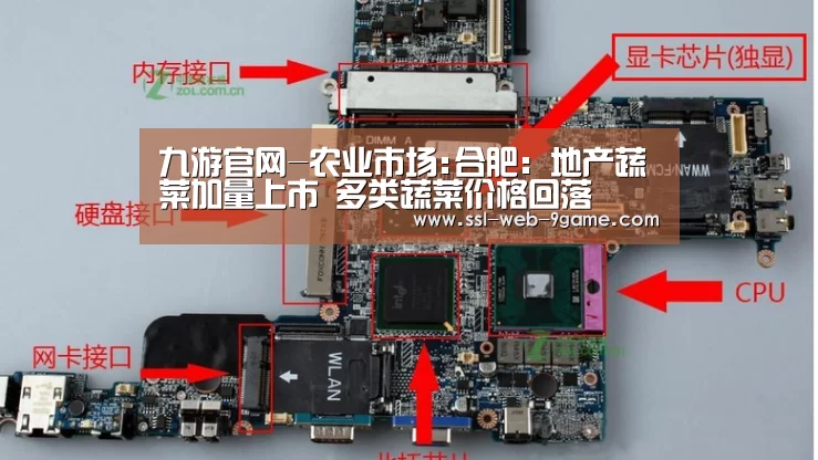 九游APP下载