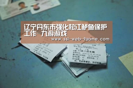 辽宁丹东市强化松江鲈鱼保护工作-九游游戏(图3) 九游APP下载